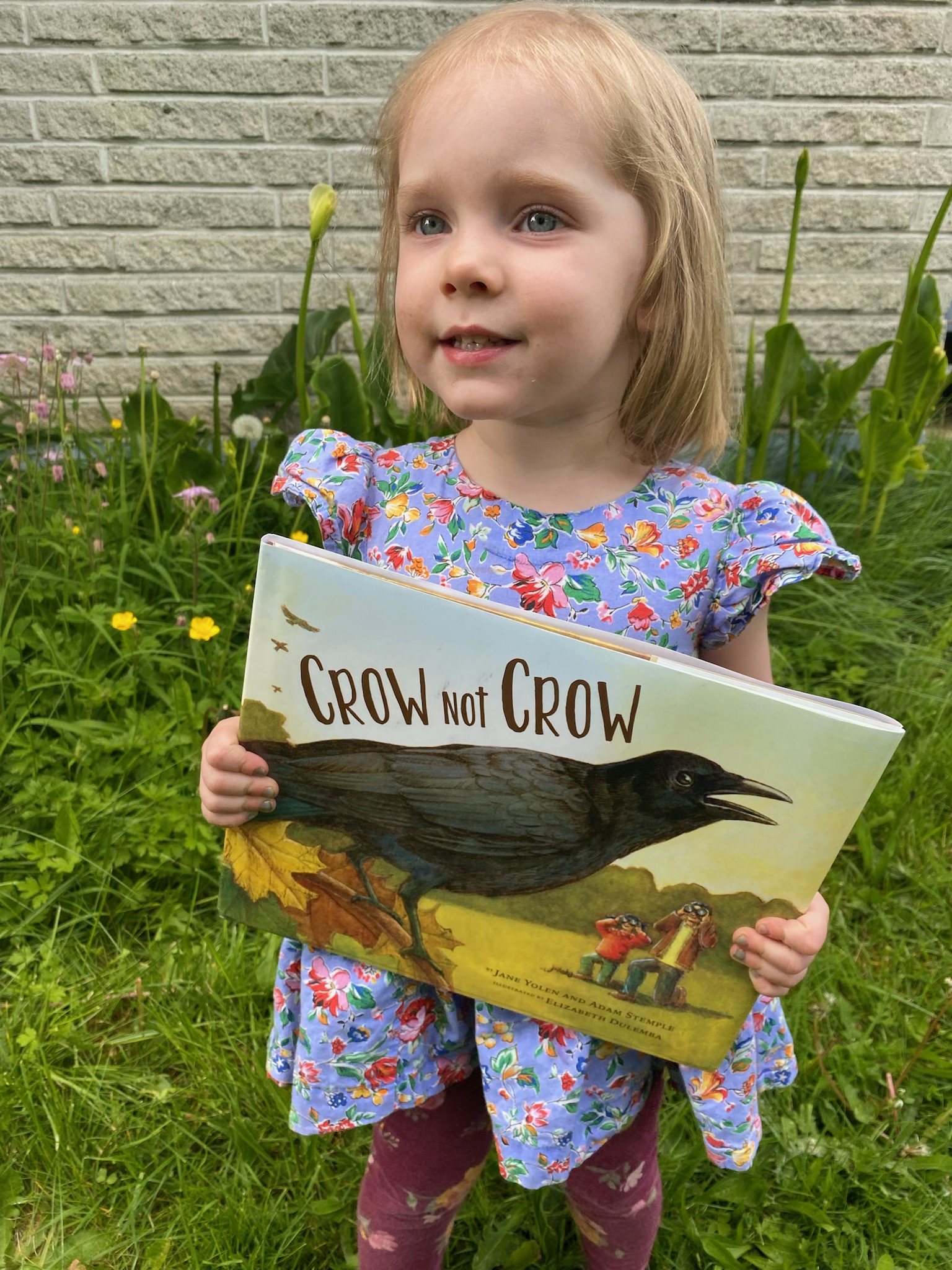 Crow Not Crow Review Up The Mountain